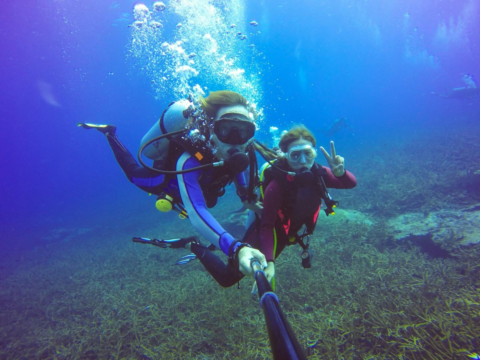 buceo